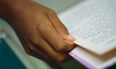 Kids library books are virtually all-white - survey