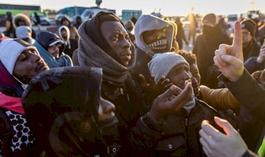Emergency hotline launched to help black people fleeing Ukraine