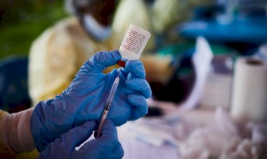 New Ebola outbreak declared in the Democratic Republic of Congo