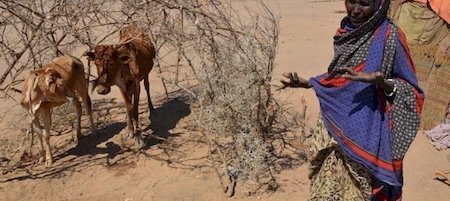 Millions face looming food crisis in east Africa