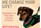 Channel 4’s heart-warming TV series, THE DOG HOUSE is back!
